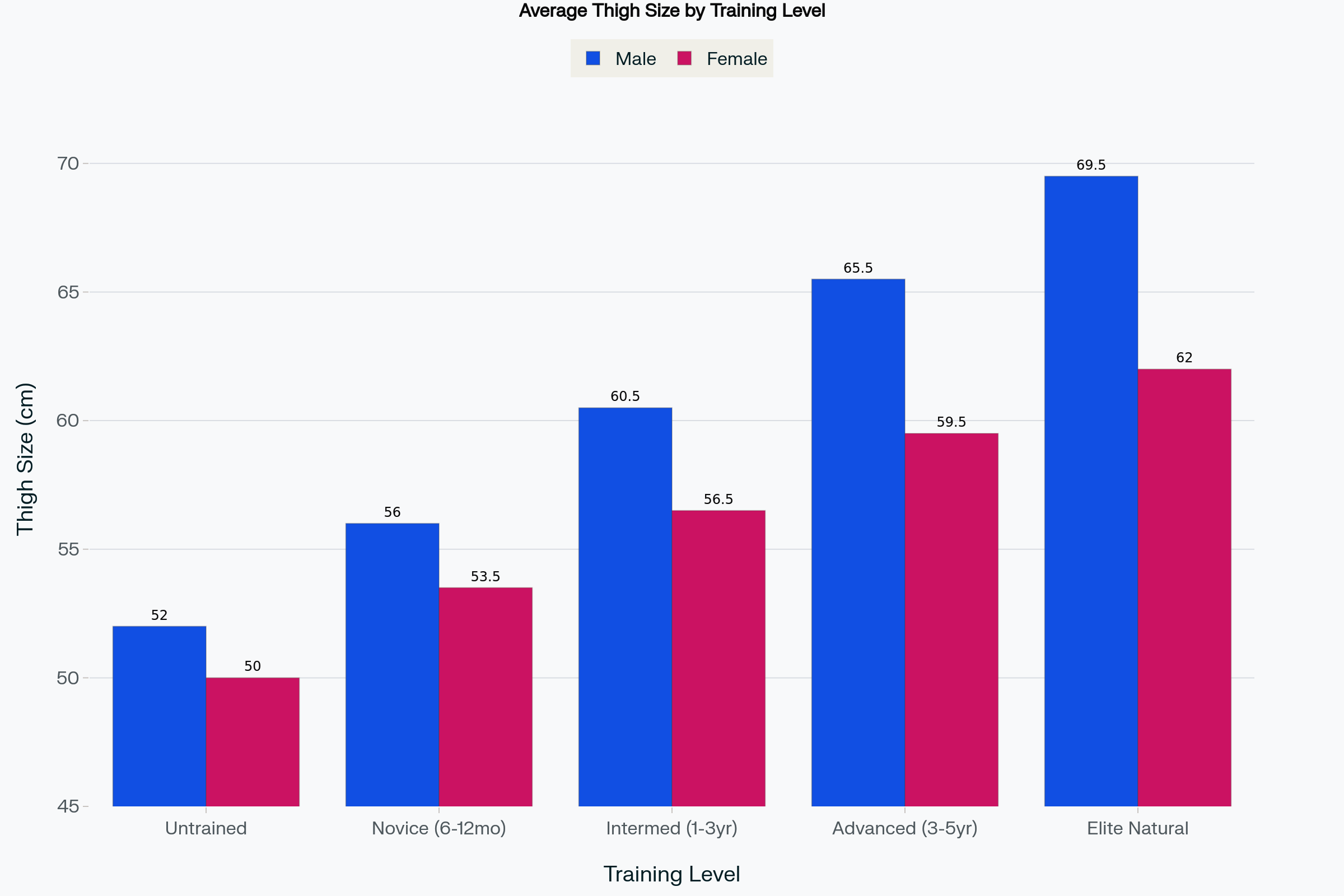 Average Thigh Sizes by Training Level