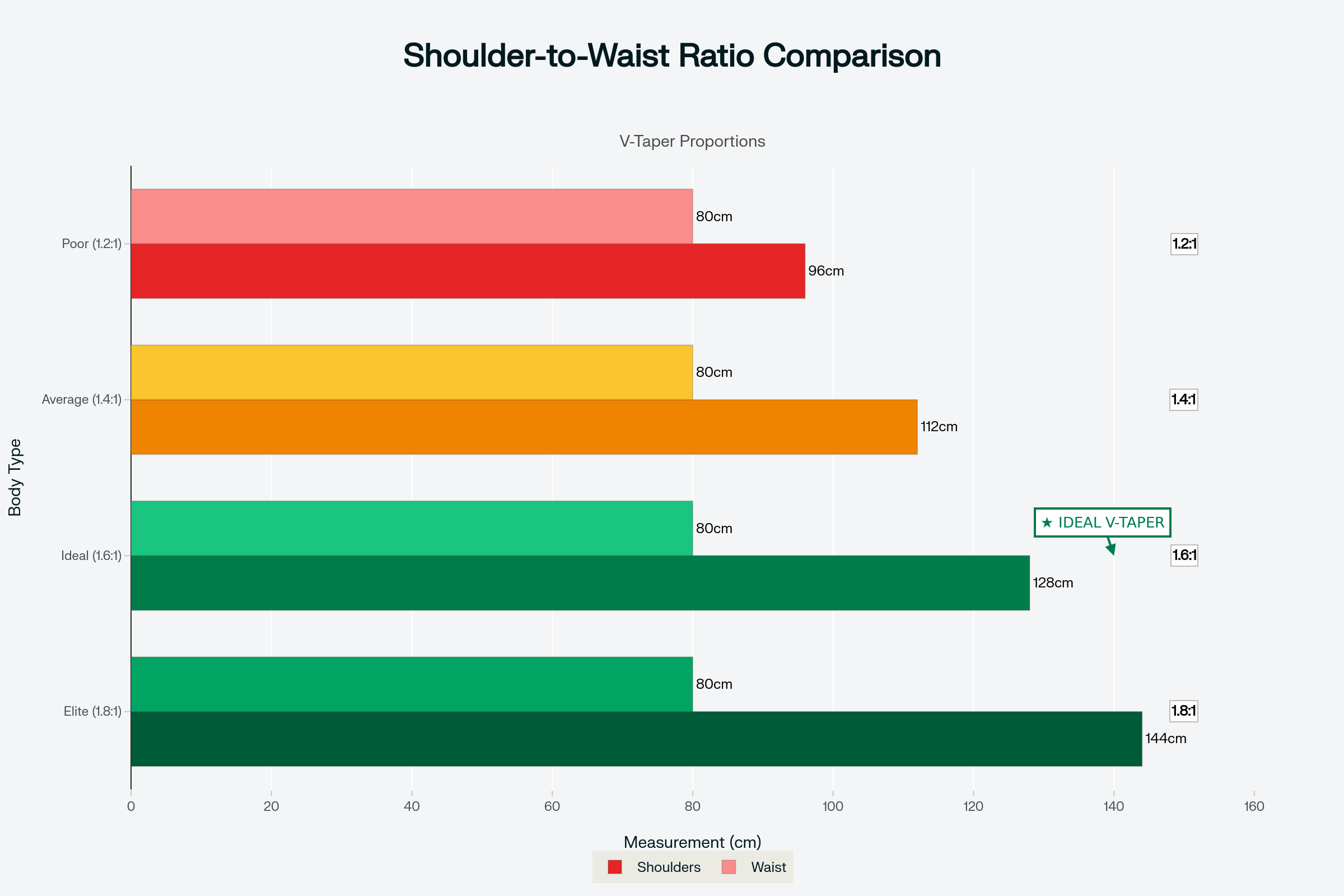 Shoulder-to-Waist Ratio Comparison Chart