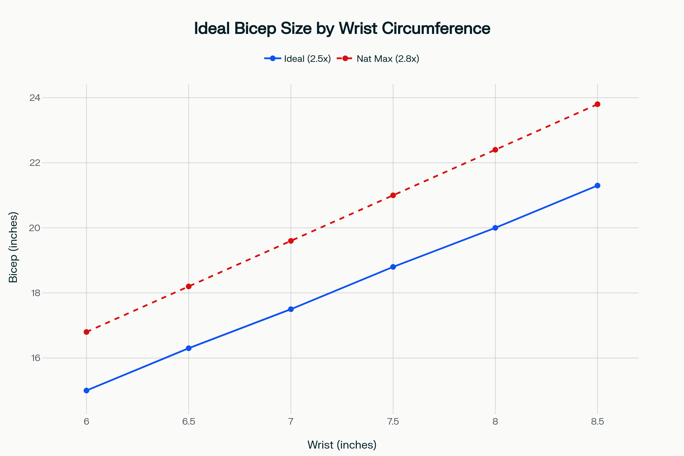 Wrist Size vs Ideal Bicep Size Chart